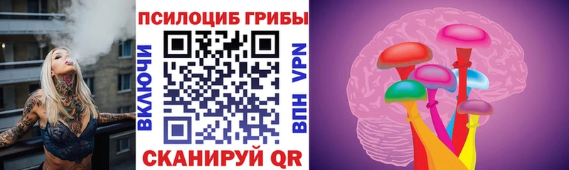 Галлюциногенные грибы Psilocybine cubensis  ссылка на мегу ссылка  нарко площадка телеграм  Зверево 